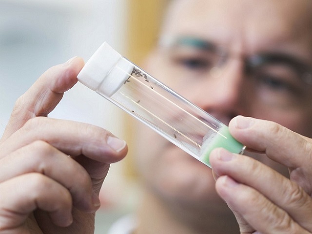 精液常规检查项目