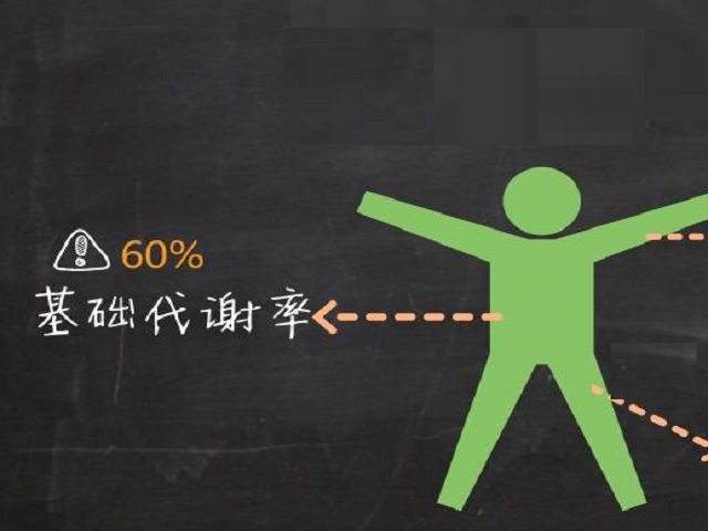 基础代谢率